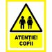 Placuta atentie copii